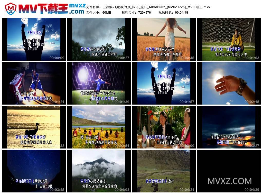 王海滨-飞吧我的梦_国语_流行_MB503967